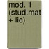 mod. 1 (stud.mat + lic)