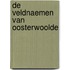 De veldnaemen van Oosterwoolde