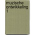 Muzische ontwikkeling 1