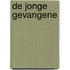 De jonge gevangene