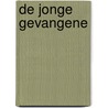 De jonge gevangene door Raule