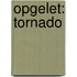 Opgelet: tornado