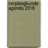 Verpleegkunde Agenda 2018