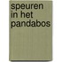 Speuren in het pandabos