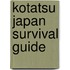 Kotatsu Japan Survival Guide