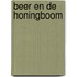 Beer en de honingboom