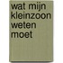 Wat mijn kleinzoon weten moet