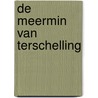 De meermin van Terschelling by Arne Zuidhoek