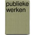 Publieke werken