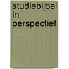Studiebijbel in perspectief door Nederlands Bijbelgenootschap
