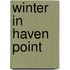 Winter in Haven Point