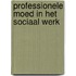 Professionele moed in het sociaal werk