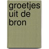 Groetjes uit de bron by Nicolien Verstraelen