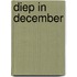 Diep in december