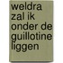 Weldra zal ik onder de guillotine liggen
