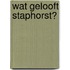 Wat gelooft Staphorst?