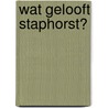 Wat gelooft Staphorst? by Unknown