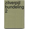 Zilverpijl bundeling 2 by Hugo Renaerts