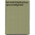 Kennisinfrastructuur Spoorveiligheid