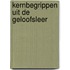 Kernbegrippen uit de geloofsleer