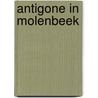 Antigone in Molenbeek door Stefan Hertmans