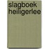 Slagboek Heiligerlee