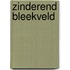 Zinderend bleekveld