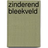 Zinderend bleekveld by W. Veerman