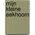 Mijn kleine eekhoorn