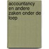 Accountancy en andere zaken onder de loep
