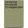 Verslaving Minnesota 12-stappenplan by Geoffrey Verheul