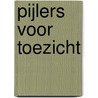 Pijlers voor toezicht door Hanneke Beijer