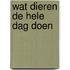 Wat dieren de hele dag doen