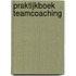 Praktijkboek Teamcoaching