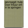 Gevraagd: Hulp voor frituur om in te springen by Mario De Wilde
