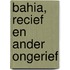 Bahia, Recief en ander ongerief