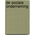 De sociale onderneming