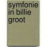 Symfonie in Billie groot door Christophe Cazenove