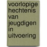 Voorlopige hechtenis van jeugdigen in uitvoering door Y. van den Brink