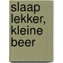 Slaap lekker, Kleine Beer