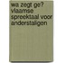 Wa zegt ge? Vlaamse spreektaal voor anderstaligen