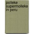 Polleke supermolleke in Peru