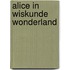 Alice in Wiskunde Wonderland