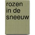 Rozen in de sneeuw