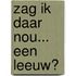 Zag ik daar nou... Een leeuw?
