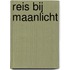Reis bij Maanlicht
