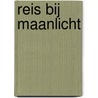 Reis bij Maanlicht by Antal Szerb