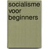 Socialisme voor beginners