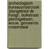 Archeologisch Bureauonderzoek ‘Plangebied De Hoogt’, Bulkstraat - Plantagebaan, Wouw, Gemeente Roosendaal