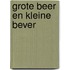 Grote Beer en Kleine Bever